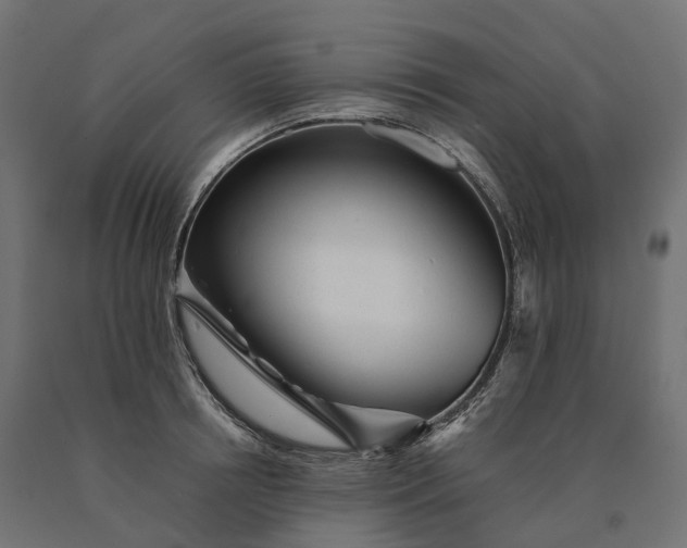 X0000090780850200708031713
