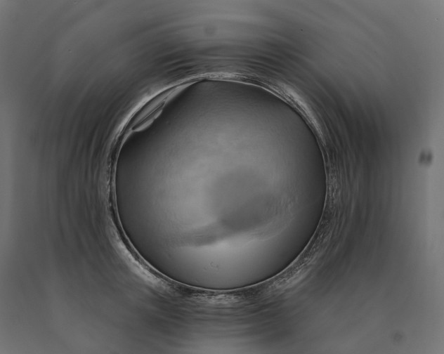 X0000090780851200708031713