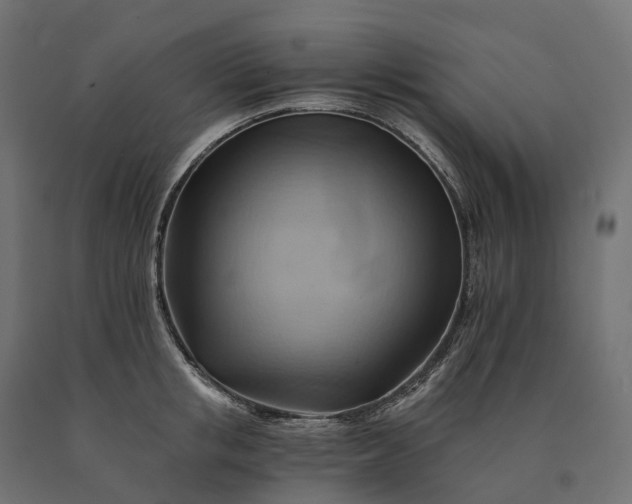 X0000090780853200708031713