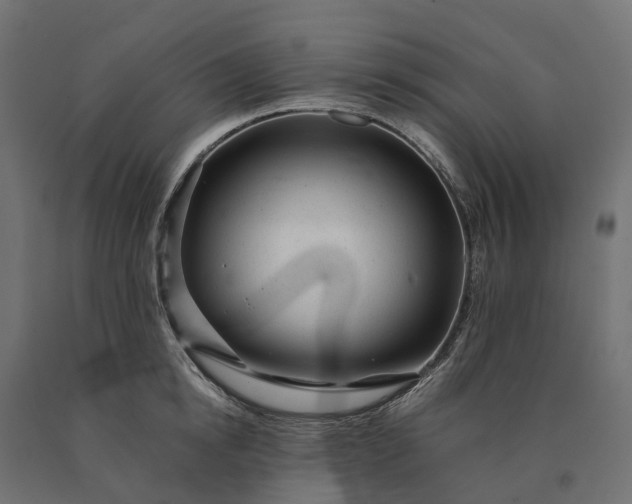 X0000090780854200708031713