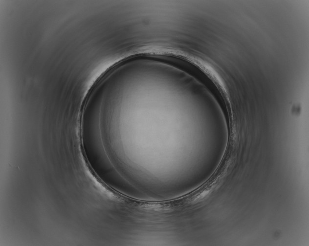 X0000090780855200708031713