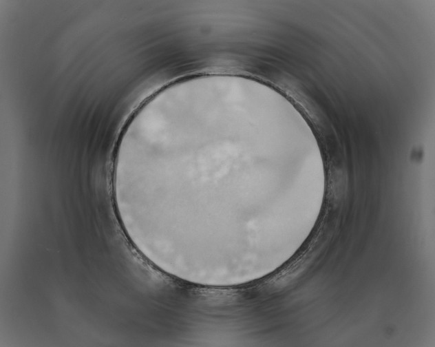 X0000090780856200708031713