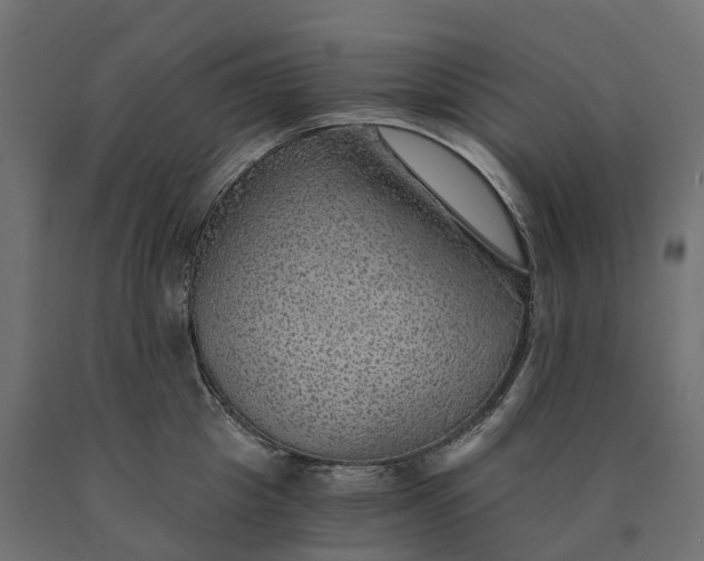 X0000090780857200708031713