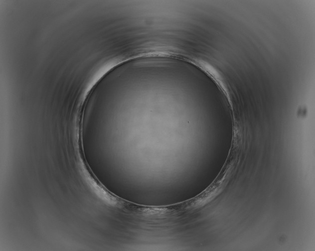 X0000090780859200708031713