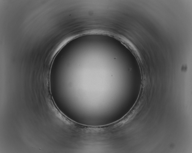 X0000090780860200708031713
