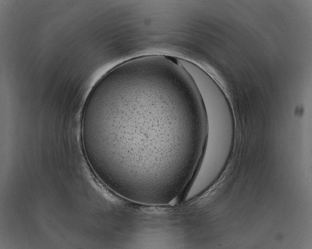 X0000090780862200708031713