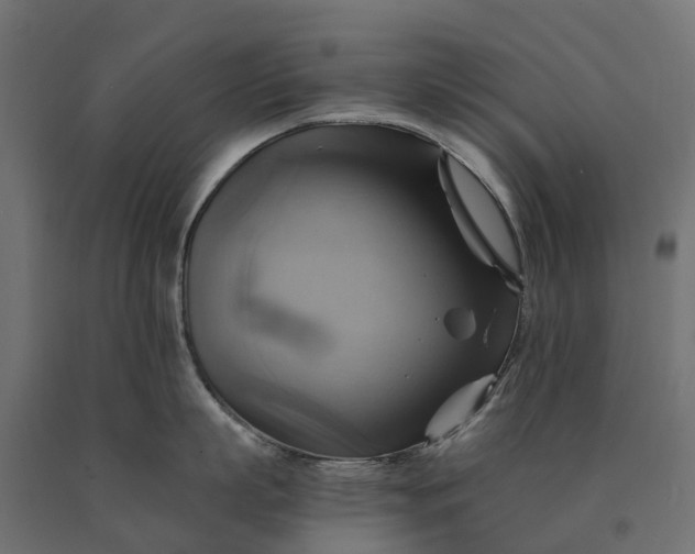 X0000090780863200708031713