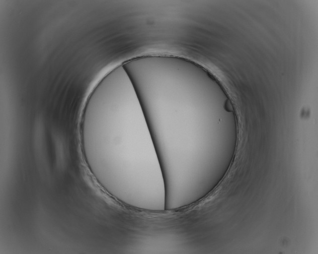 X0000090780864200708031713