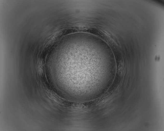 X0000090780866200708031713