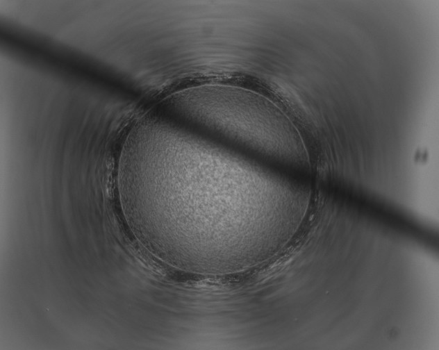 X0000090780867200708031713