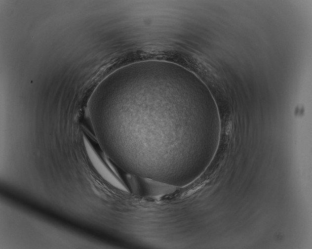 X0000090780868200708031713