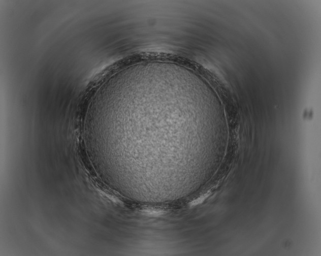 X0000090780870200708031712