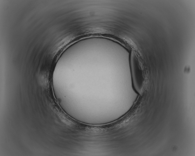 X0000090780873200708031712