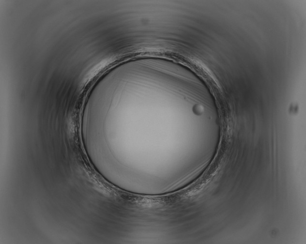 X0000090780874200708031712