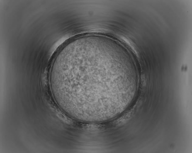 X0000090780875200708031712