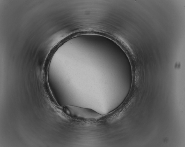 X0000090780876200708031712