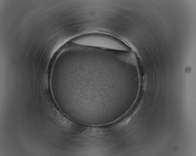 X0000090780877200708031712