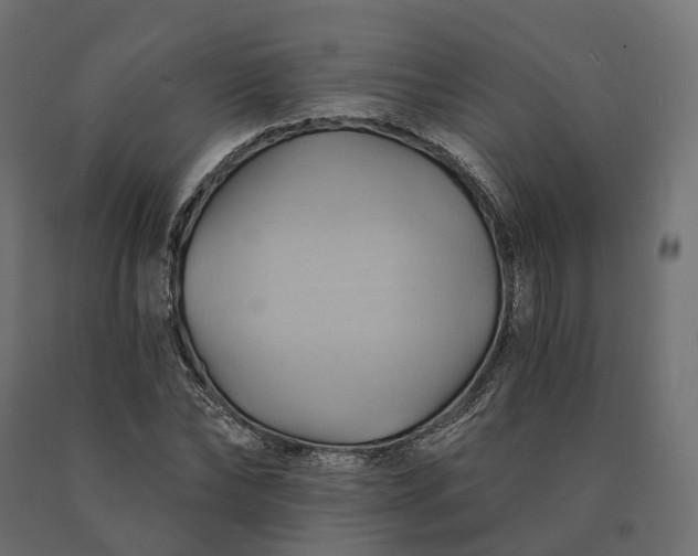 X0000090780878200708031712