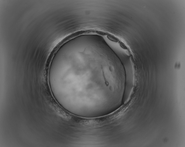 X0000090780879200708031712