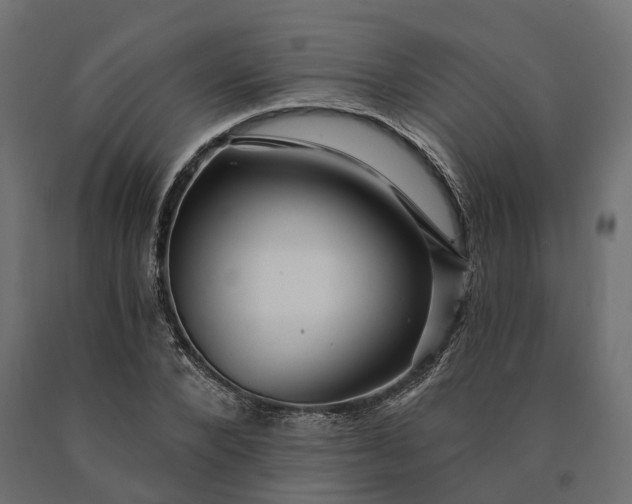 X0000090780880200708031712
