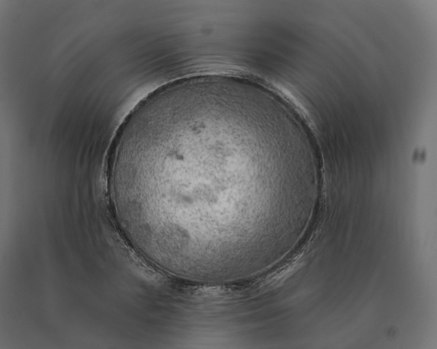 X0000090780883200708031712