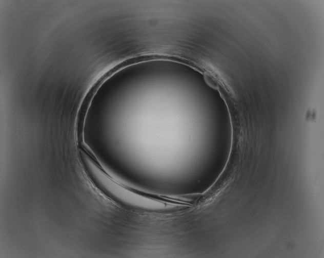X0000090780884200708031712