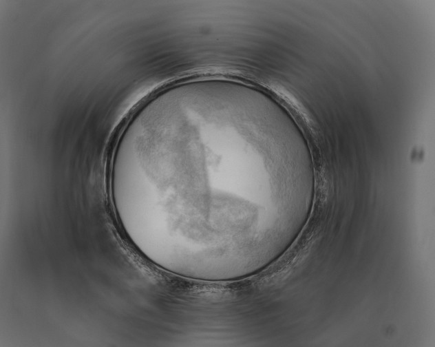 X0000090780886200708031712