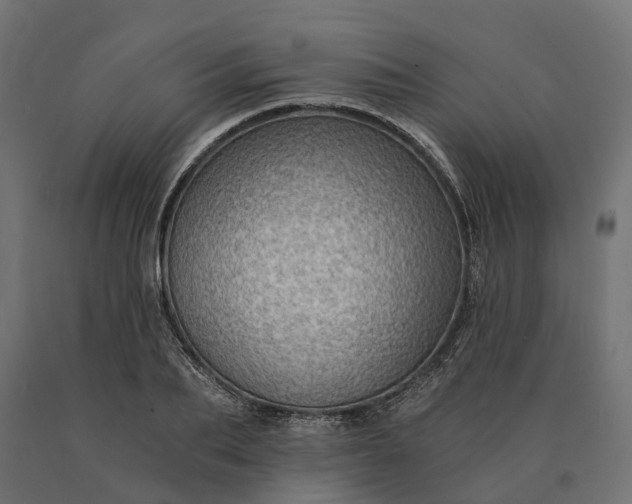 X0000090780887200708031712