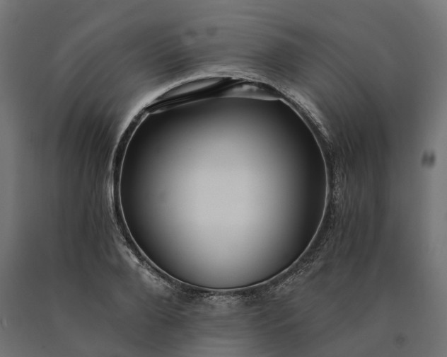 X0000090780888200708031712