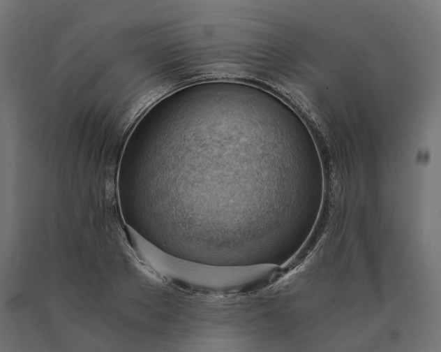 X0000090780889200708031712