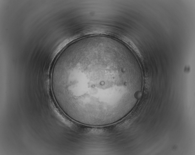 X0000090780890200708031712