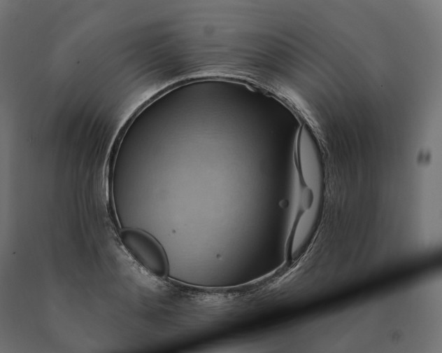 X0000090780892200708031712