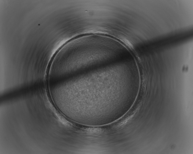 X0000090780893200708031712