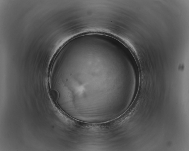 X0000090780895200708031712