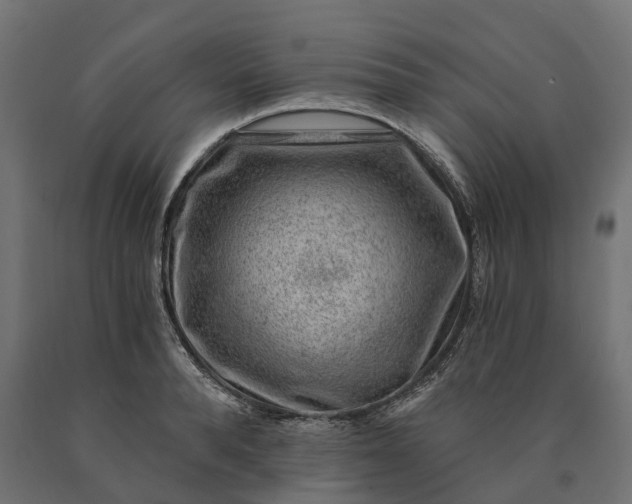 X0000090780896200708031712