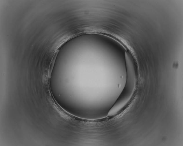 X0000090780897200708031712