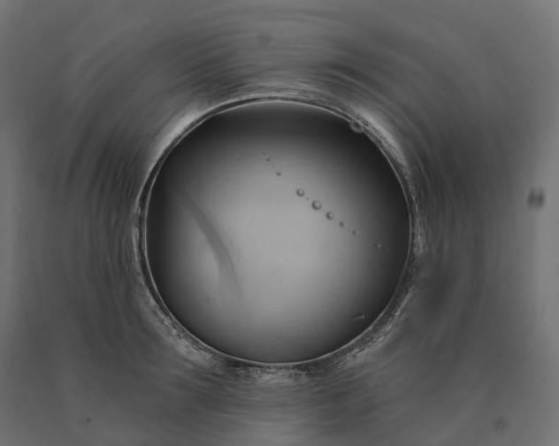 X0000090780899200708031712