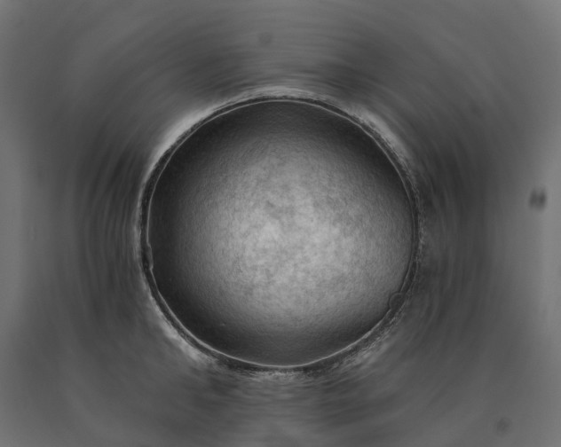 X0000090780902200708031712