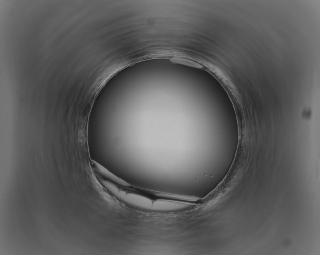 X0000090780905200708031712