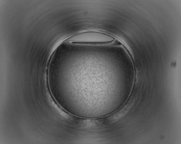 X0000090780906200708031712