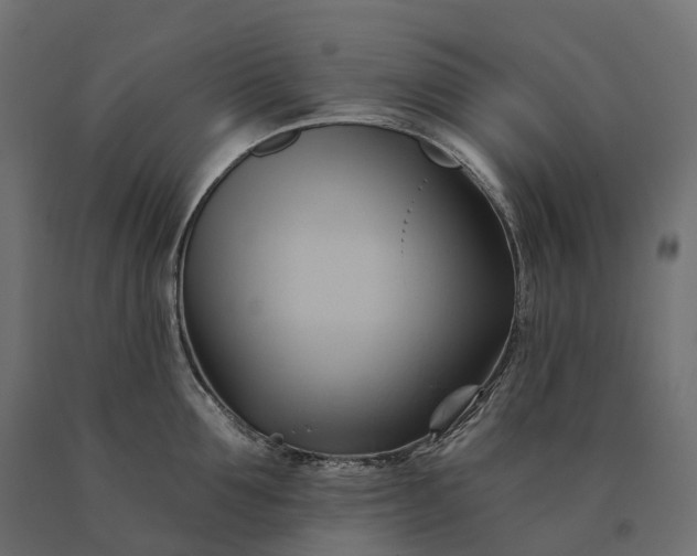 X0000090780907200708031712