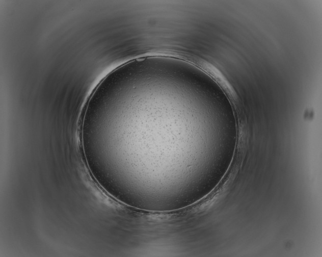X0000090780908200708031712