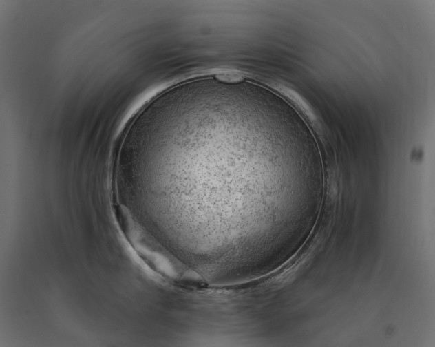 X0000090780910200708031712