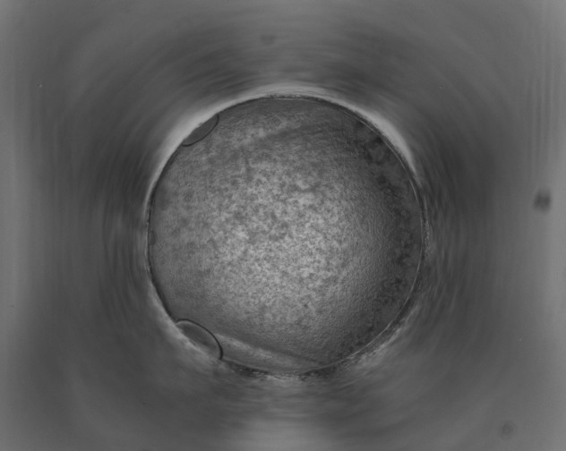 X0000090780911200708031712