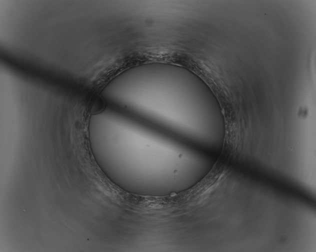 X0000090780913200708031711