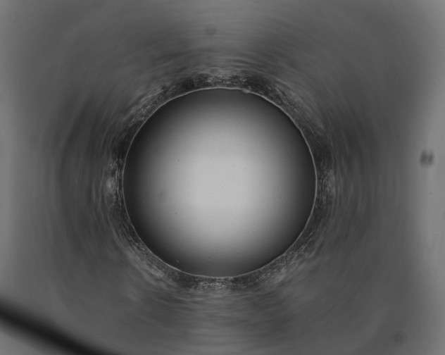 X0000090780914200708031711