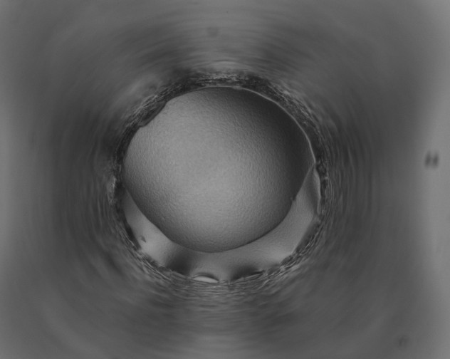 X0000090780916200708031711