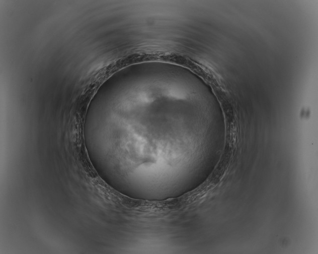 X0000090780917200708031711