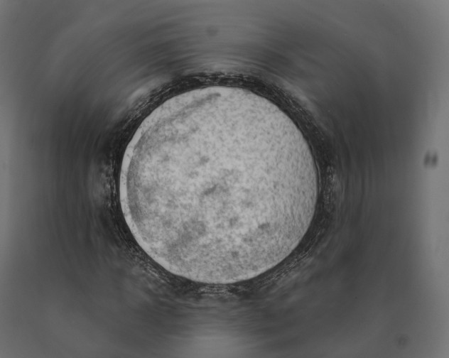 X0000090780918200708031711