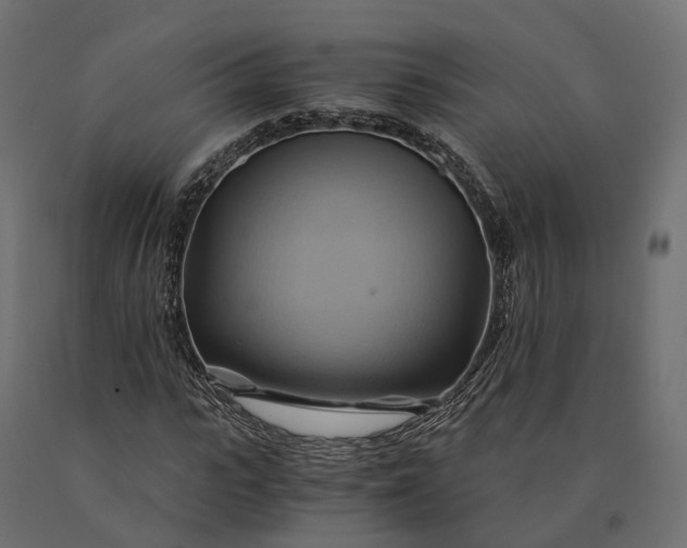 X0000090780919200708031711